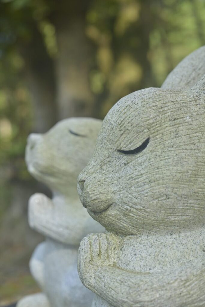 japan, shrine, local, tottori