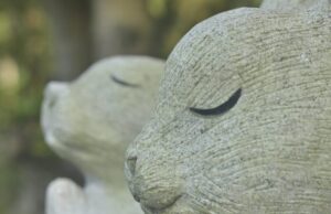 japan, shrine, local, tottori