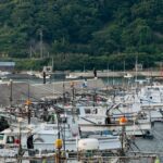 Fishing boats docked at a scenic port with lush green hills in the background.