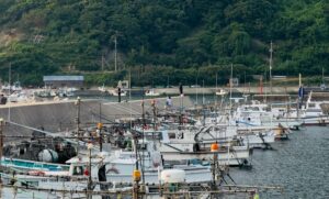 Fishing boats docked at a scenic port with lush green hills in the background.