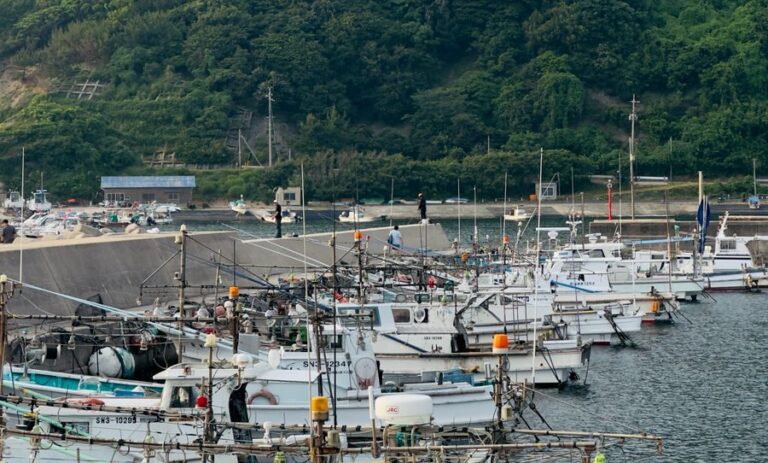 Fishing boats docked at a scenic port with lush green hills in the background.