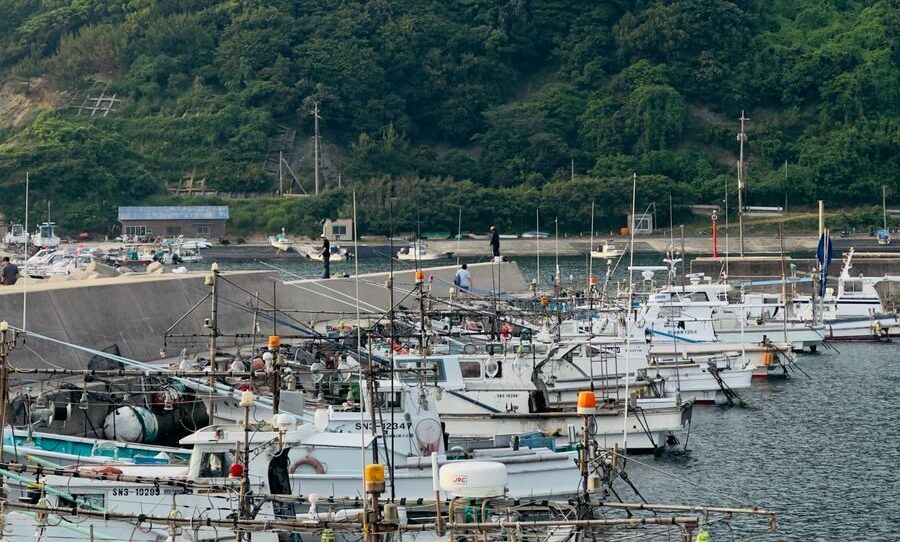 Fishing boats docked at a scenic port with lush green hills in the background.